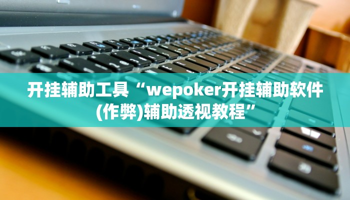 开挂辅助工具“wepoker开挂辅助方法,难怪经常输&原来有猫腻