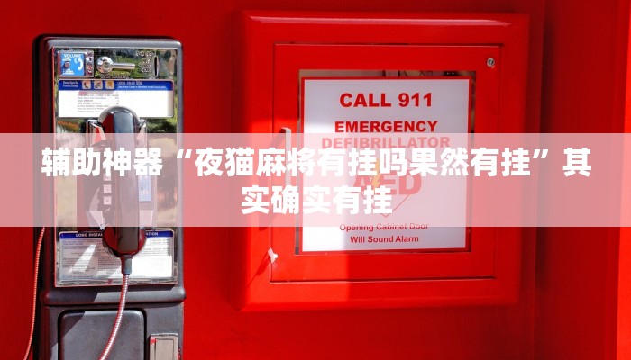 开挂辅助工具“wepoker辅助挂方法,难怪经常输&原来有猫腻