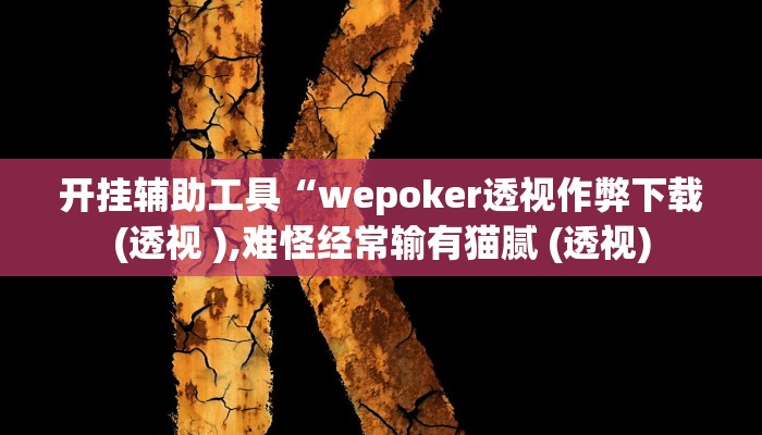 辅助神器“wepoker德州透视作弊挂”开挂详细教程