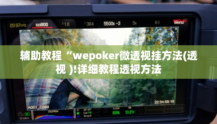 辅助教程“wepoker微透视挂方法(透视 )!详细教程透视方法