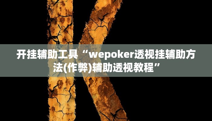开挂辅助工具“wepoker透视挂辅助方法(作弊)辅助透视教程”