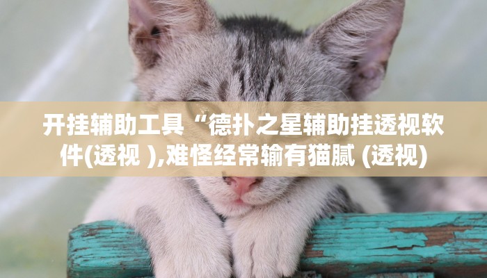 开挂辅助工具“德扑之星辅助挂透视软件(透视 ),难怪经常输有猫腻 (透视)