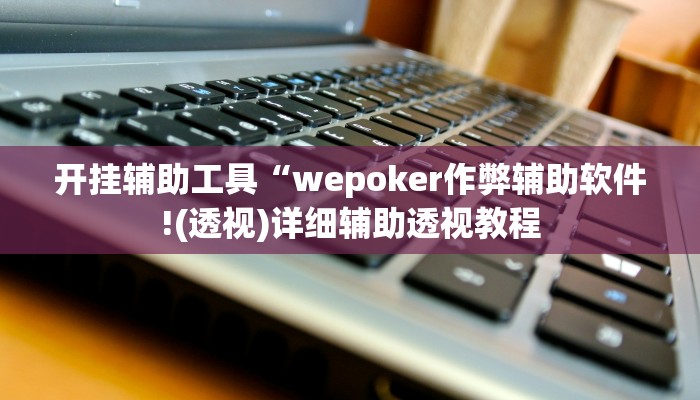 开挂辅助工具“wepoker作弊辅助软件!(透视)详细辅助透视教程