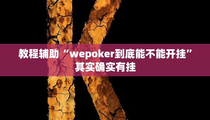 教程辅助“wepoker到底能不能开挂”其实确实有挂