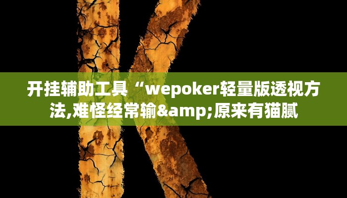开挂辅助工具“wepoker轻量版透视方法,难怪经常输&原来有猫腻