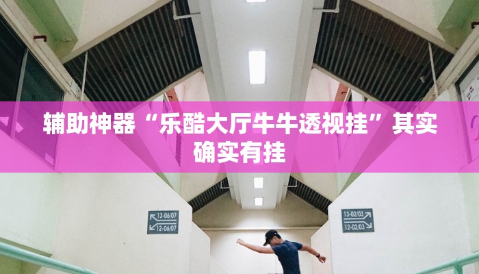 辅助神器“乐酷大厅牛牛透视挂”其实确实有挂