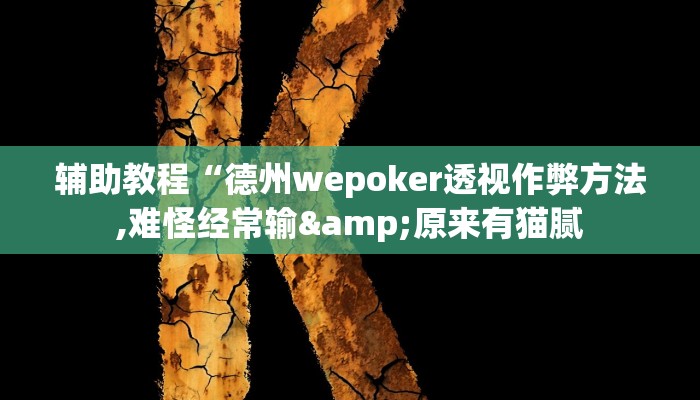 辅助教程“德州wepoker透视作弊方法,难怪经常输&原来有猫腻