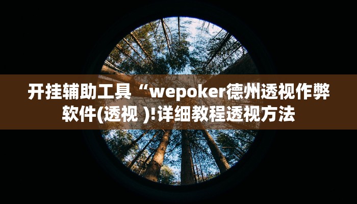 开挂辅助工具“wepoker德州透视作弊软件(透视 )!详细教程透视方法