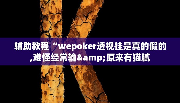 辅助教程“wepoker透视挂是真的假的,难怪经常输&原来有猫腻