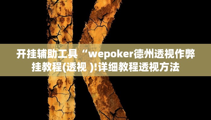 开挂辅助工具“wepoker德州透视作弊挂教程(透视 )!详细教程透视方法
