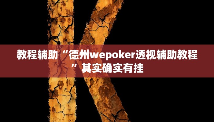 教程辅助“德州wepoker透视辅助教程”其实确实有挂