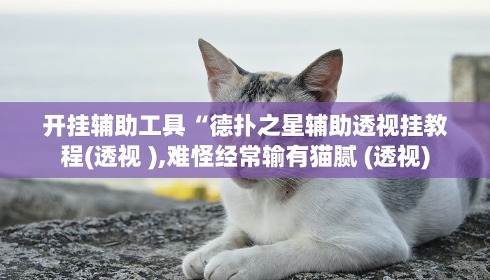 开挂辅助工具“德扑之星辅助透视挂教程(透视 ),难怪经常输有猫腻 (透视)