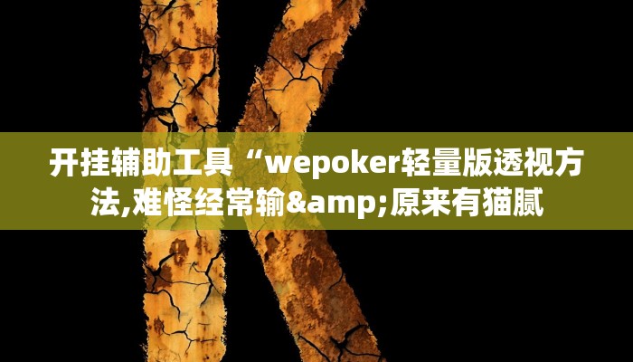 开挂辅助工具“wepoker轻量版透视方法,难怪经常输&原来有猫腻