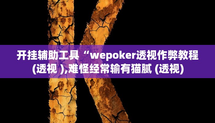 开挂辅助工具“wepoker透视作弊教程(透视 ),难怪经常输有猫腻 (透视)