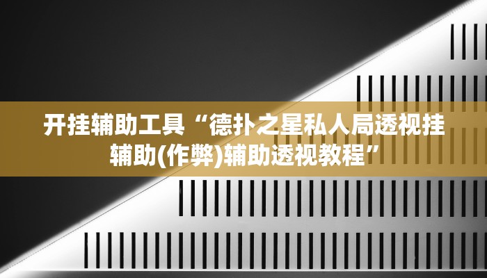辅助神器“皮皮跑胡子透视神器”其实确实有挂