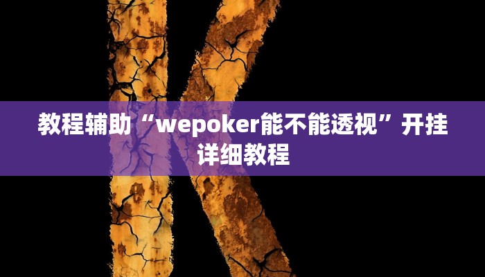 教程辅助“wepoker能不能透视”开挂详细教程