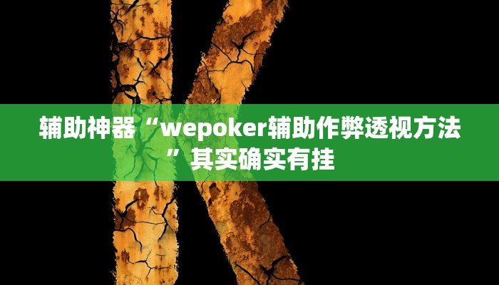 辅助神器“wepoker辅助作弊透视方法”其实确实有挂
