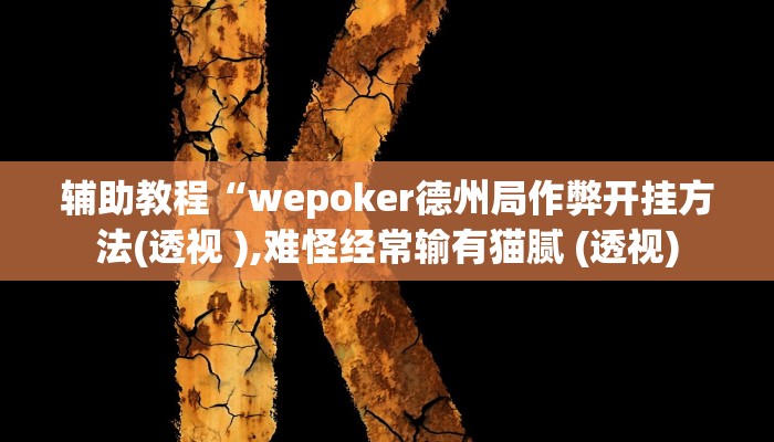 辅助教程“wepoker德州局作弊开挂方法(透视 ),难怪经常输有猫腻 (透视)