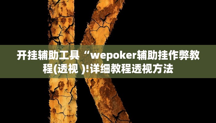 开挂辅助工具“wepoker辅助挂作弊教程(透视 )!详细教程透视方法
