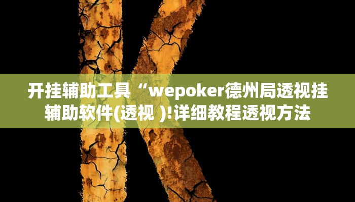 开挂辅助工具“wepoker德州局透视挂辅助软件(透视 )!详细教程透视方法