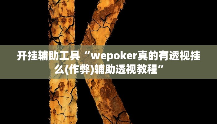 开挂辅助工具“wepoker辅助挂软件,难怪经常输&原来有猫腻