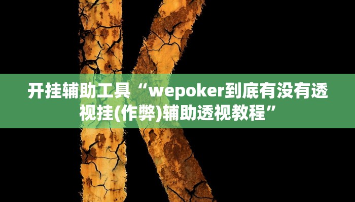 开挂辅助工具“wepoker到底有没有透视挂(作弊)辅助透视教程”