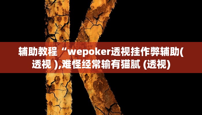 开挂辅助工具“wepoker透视挂真的假的,难怪经常输&原来有猫腻