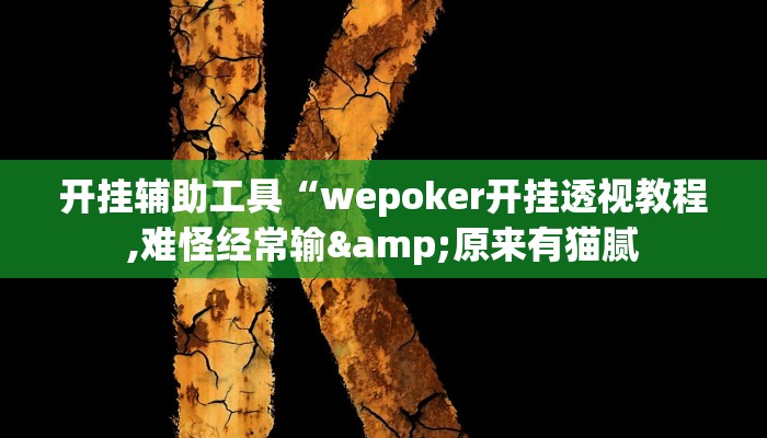 开挂辅助工具“wepoker开挂透视教程,难怪经常输&原来有猫腻