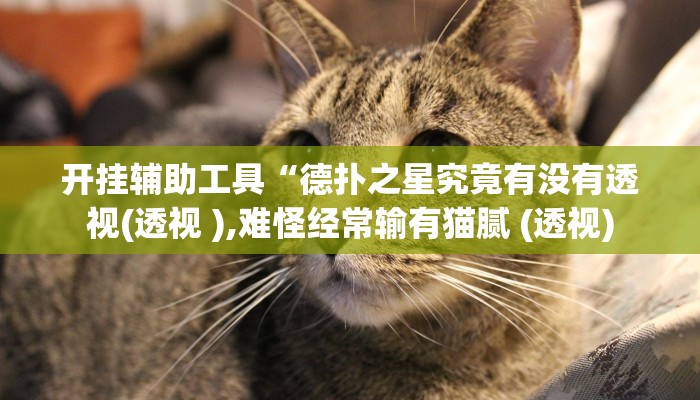 开挂辅助工具“德扑之星究竟有没有透视(透视 ),难怪经常输有猫腻 (透视)