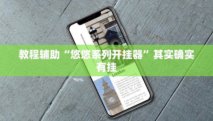 教程辅助“悠悠系列开挂器”其实确实有挂