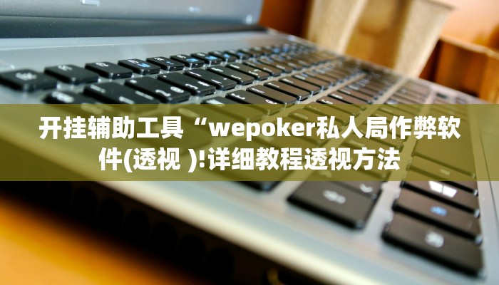 开挂辅助工具“wepoker私人局作弊软件(透视 )!详细教程透视方法