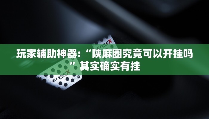 玩家辅助神器:“福建兄弟十三水开挂教程”其实确实有挂