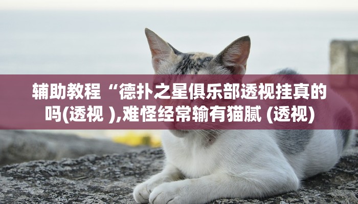 辅助教程“德扑之星俱乐部透视挂真的吗(透视 ),难怪经常输有猫腻 (透视)