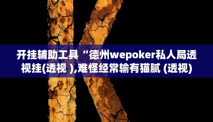 开挂辅助工具“德州wepoker私人局透视挂(透视 ),难怪经常输有猫腻 (透视)