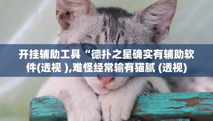 开挂辅助工具“德扑之星确实有辅助软件(透视 ),难怪经常输有猫腻 (透视)