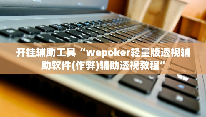 开挂辅助工具“wepoker轻量版透视辅助软件(作弊)辅助透视教程”