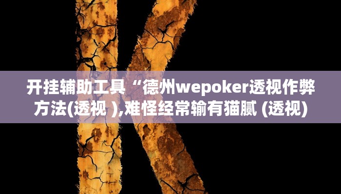 开挂辅助工具“德州wepoker透视作弊方法(透视 ),难怪经常输有猫腻 (透视)
