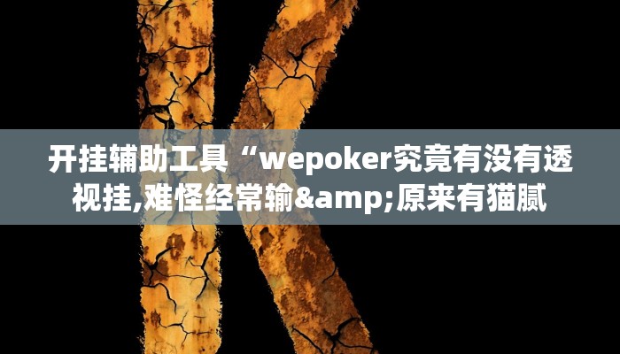 开挂辅助工具“wepoker究竟有没有透视挂,难怪经常输&原来有猫腻