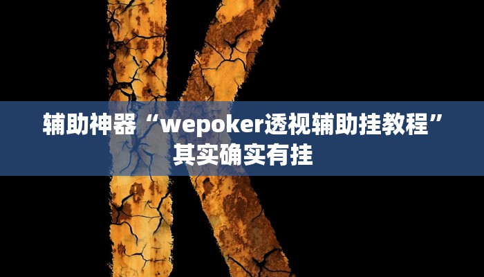 辅助神器“wepoker透视辅助挂教程”其实确实有挂