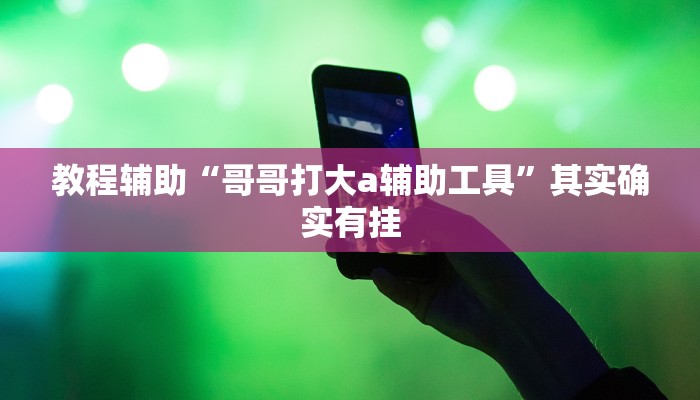 教程辅助“哥哥打大a辅助工具”其实确实有挂