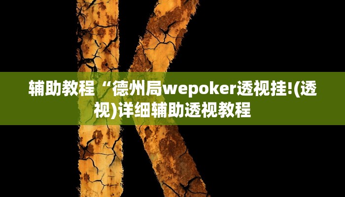 辅助教程“wpk德州透视方法!(透视)详细辅助透视教程