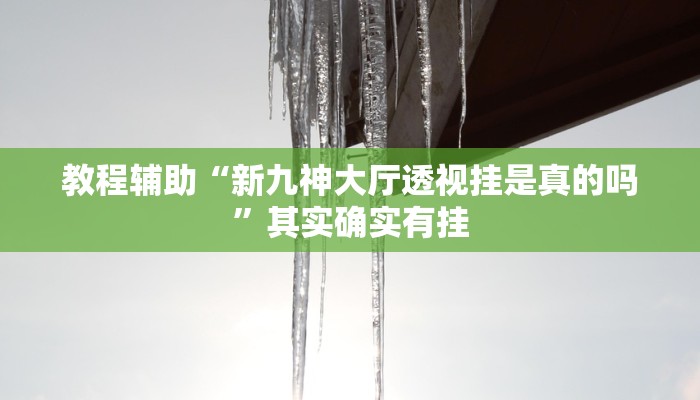 教程辅助“新九神大厅透视挂是真的吗”其实确实有挂