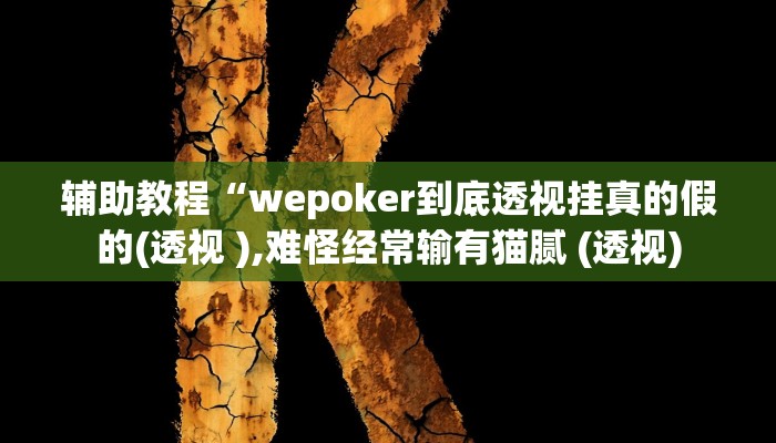 辅助教程“wepoker到底透视挂真的假的(透视 ),难怪经常输有猫腻 (透视)