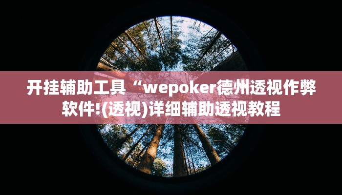 开挂辅助工具“wepoker德州透视作弊软件!(透视)详细辅助透视教程