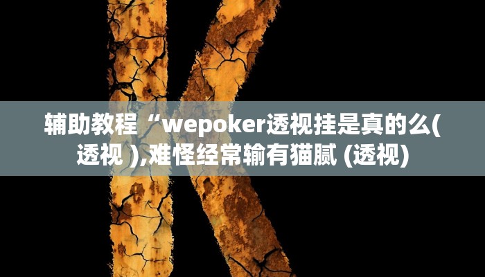 辅助教程“wepoker透视挂是真的么(透视 ),难怪经常输有猫腻 (透视)