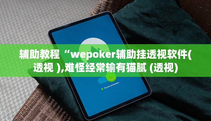 辅助教程“wepoker辅助挂透视软件(透视 ),难怪经常输有猫腻 (透视)