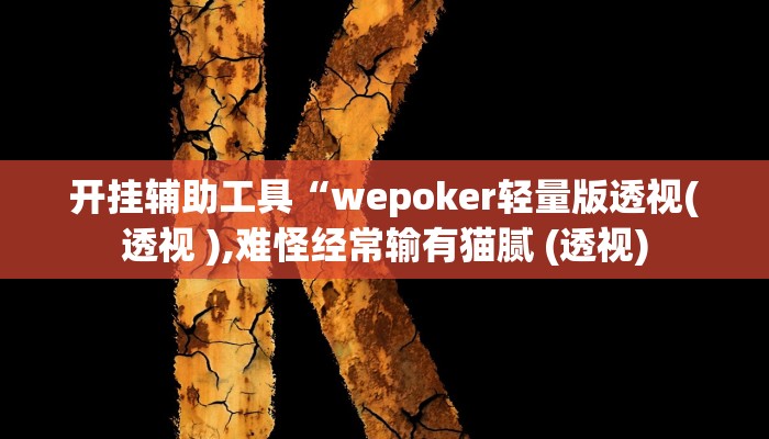 开挂辅助工具“wepoker轻量版透视(透视 ),难怪经常输有猫腻 (透视)