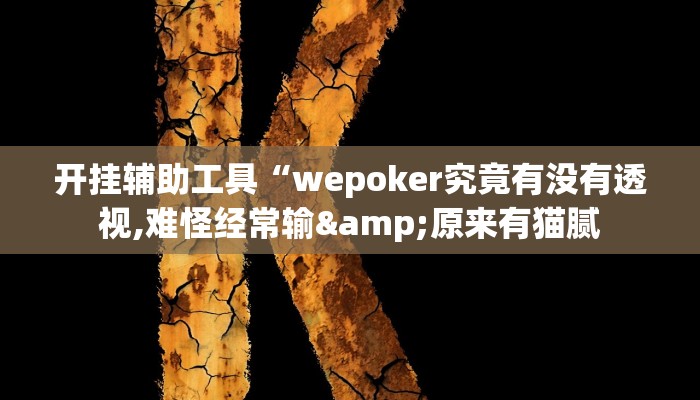 开挂辅助工具“wepoker究竟有没有透视,难怪经常输&原来有猫腻