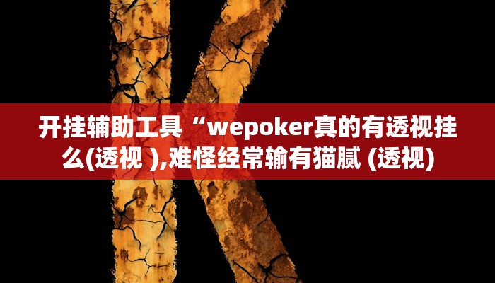开挂辅助工具“wepoker真的有透视挂么(透视 ),难怪经常输有猫腻 (透视)