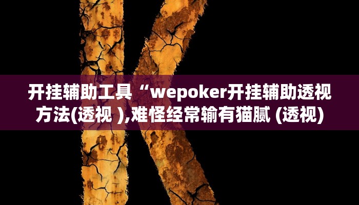 开挂辅助工具“wepoker开挂辅助透视方法(透视 ),难怪经常输有猫腻 (透视)